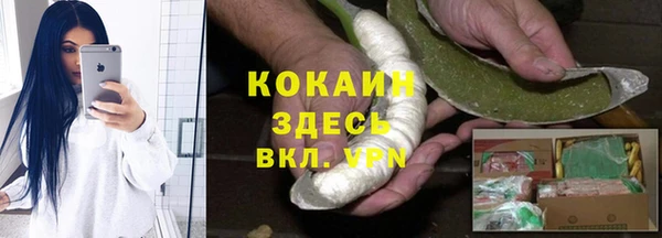 твердый Сатка