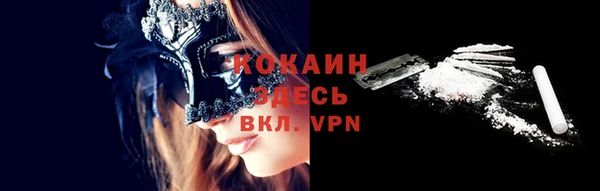 твердый Сатка